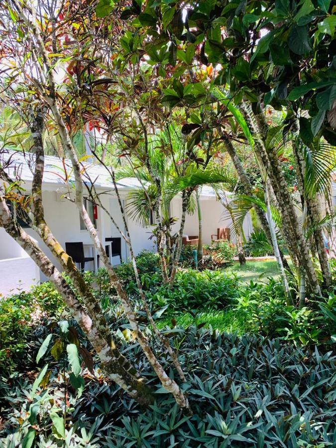 Beach Hotel Casa Nina Las Terrenas Esterno foto