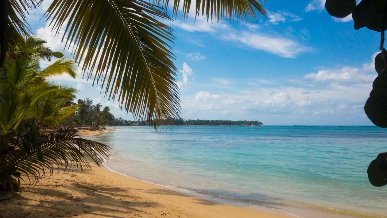 Beach Hotel Casa Nina Las Terrenas Esterno foto